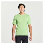 SAM800278-INH